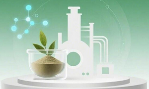 天然化合物庫(kù)